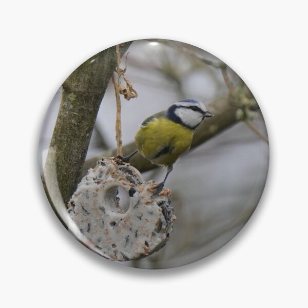 Item preview, Blue tit in winter designed and sold by Binas-gallery.