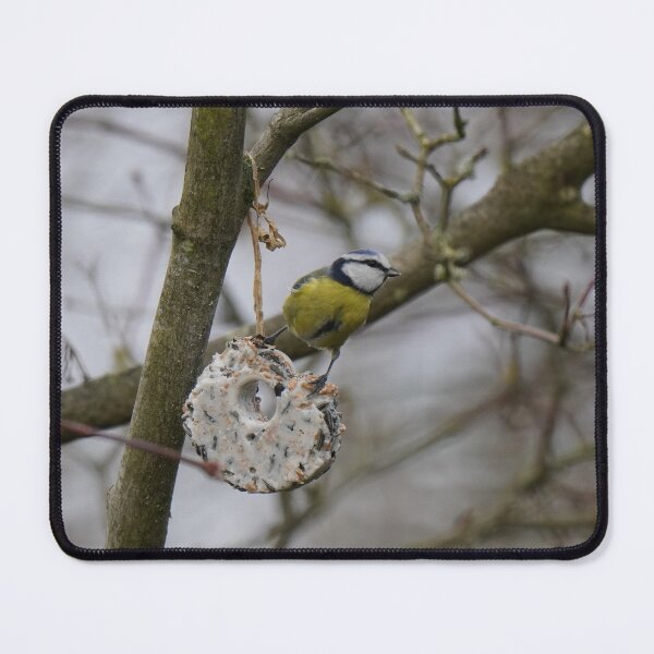 Item preview, Blue tit in winter designed and sold by Binas-gallery.