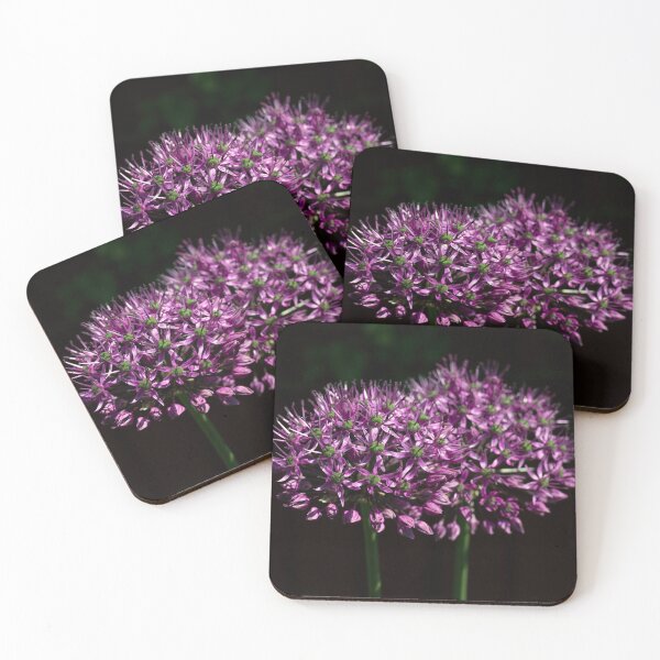 Artikelvorschau, Allium hollandicum 'Purple Sensation' entworfen und verkauft von Kezzles.