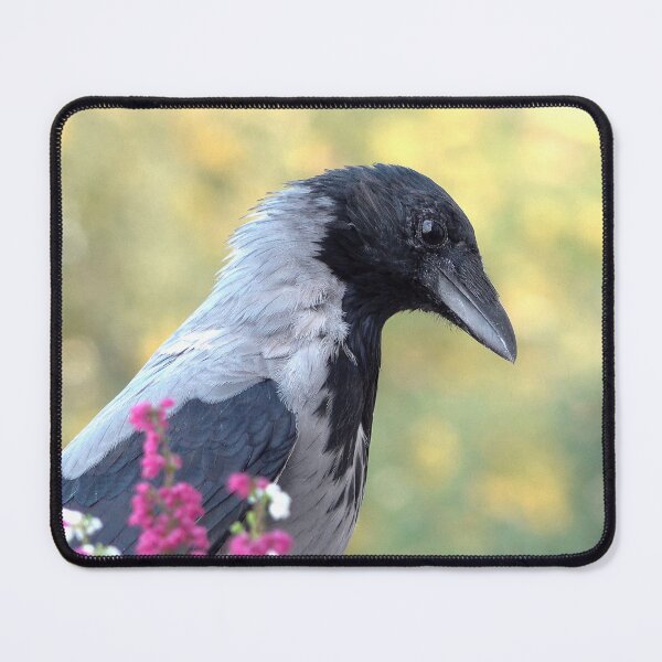 Item preview, Hooded crow designed and sold by Babbler01.