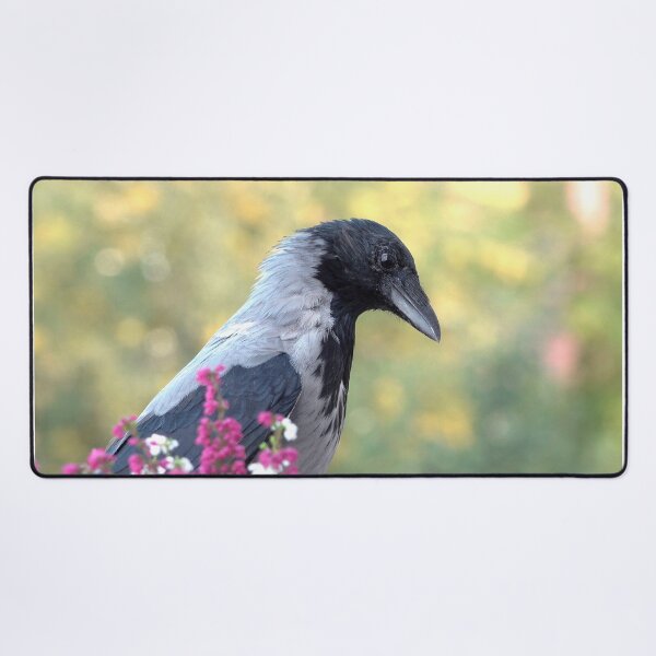 Item preview, Hooded crow designed and sold by Babbler01.
