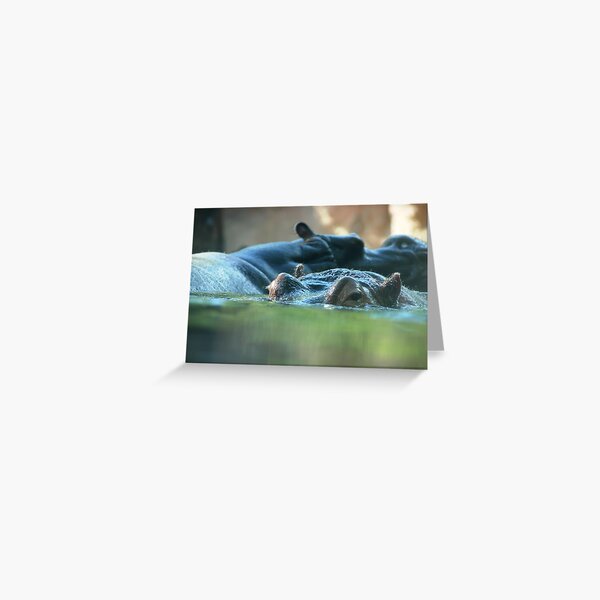 Hippo Pair Greeting Card