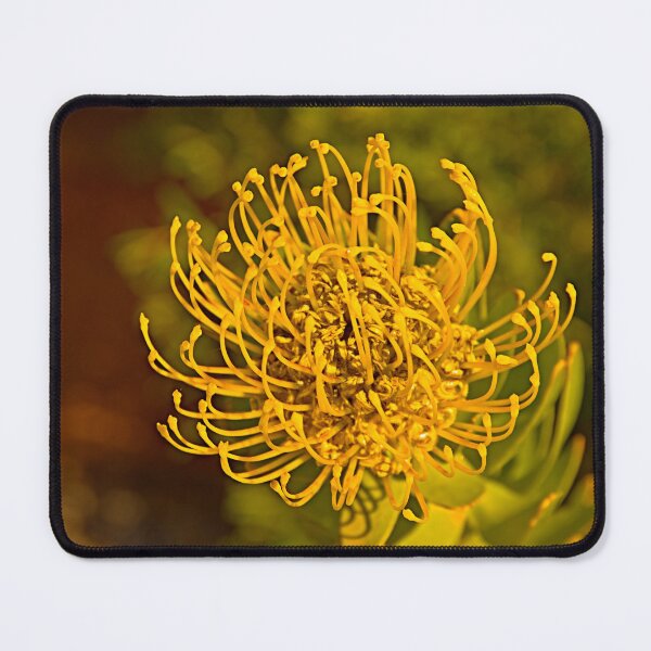Item preview, flower designed and sold by Babbler01.