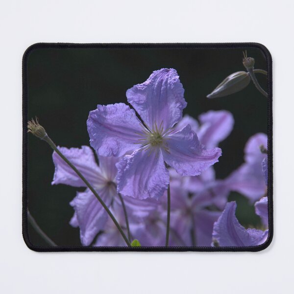 Item preview, Little flowers designed and sold by Babbler01.