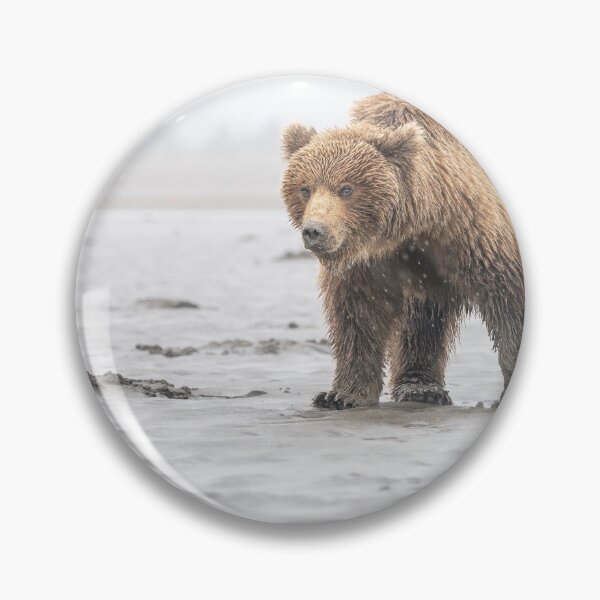 Item preview, Brown Bear in the Rain Alaska designed and sold by PhotoArt by Joan Carroll.