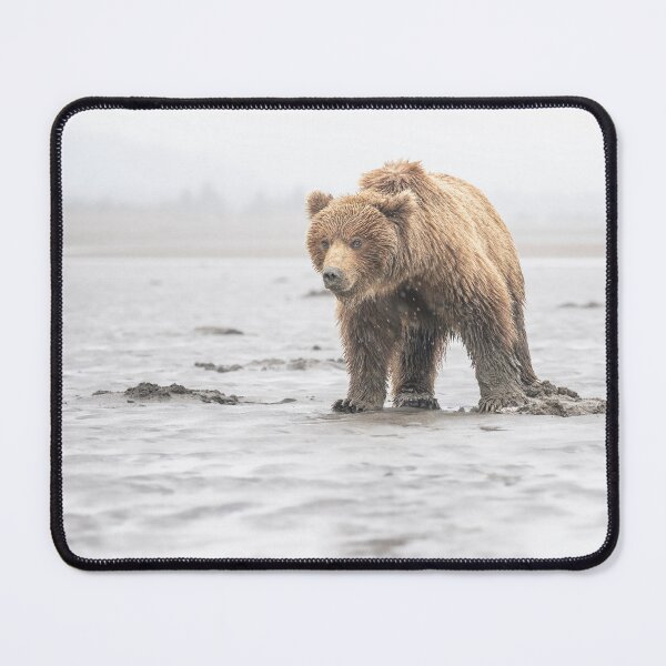 Item preview, Brown Bear in the Rain Alaska designed and sold by PhotoArt by Joan Carroll.
