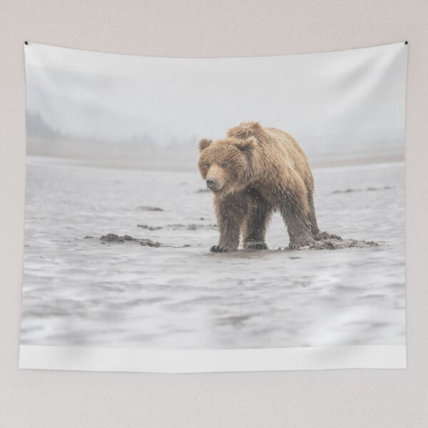 Item preview, Brown Bear in the Rain Alaska designed and sold by PhotoArt by Joan Carroll.