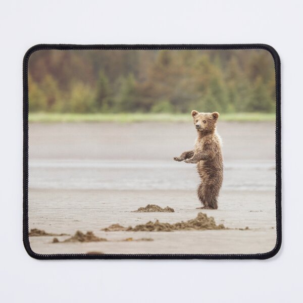 Item preview, Spring Cub Showing Off Alaska designed and sold by PhotoArt by Joan Carroll.
