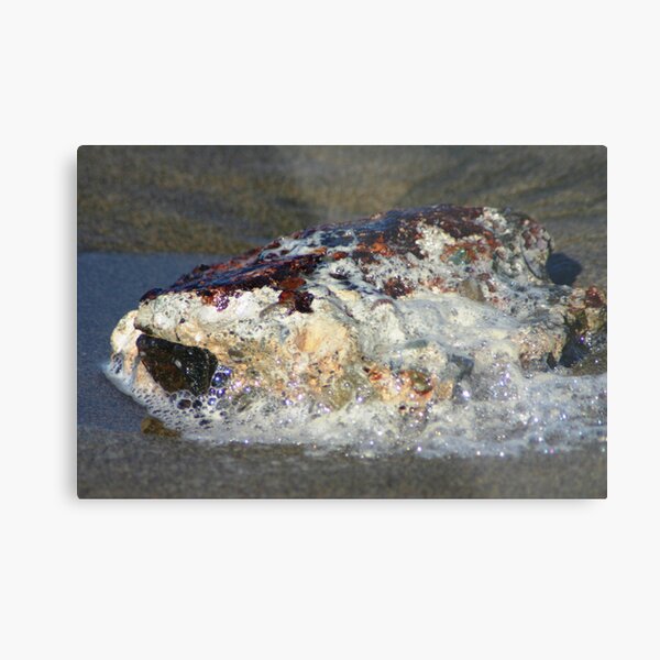 Tide Rock Metal Print