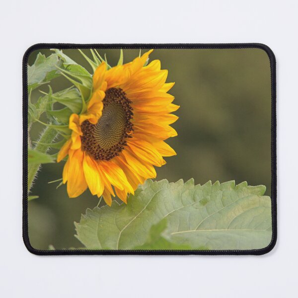 Item preview, Sunflower designed and sold by Babbler01.