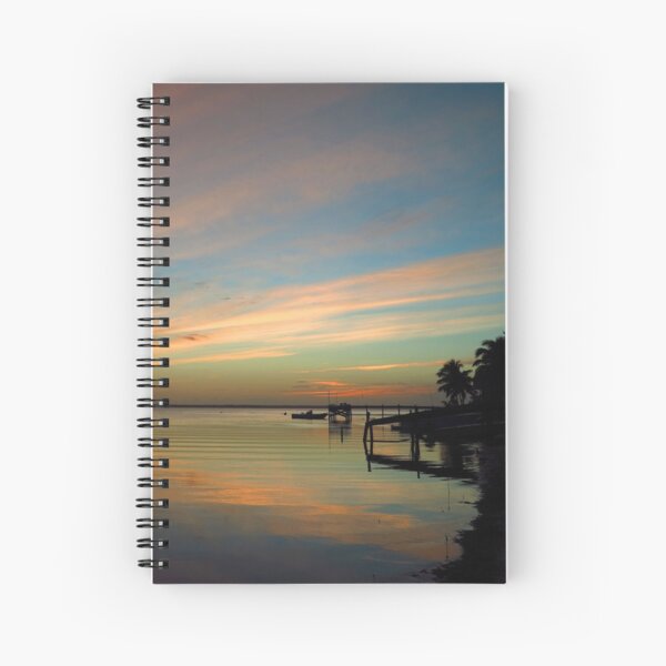 Swirly Pink Sunset (2) Spiral Notebook