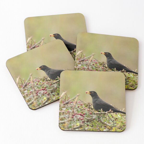 Item preview,  A Berry Cute Blackbird designed and sold by ClarkeGreening.