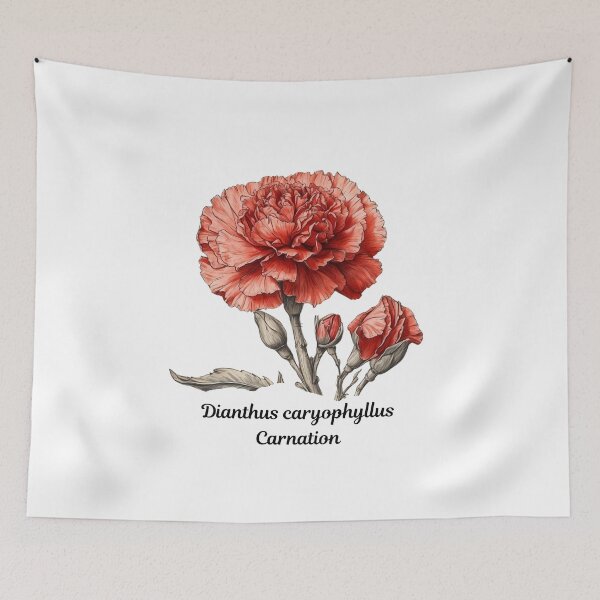 Item preview, Red Carnation - Dianthus caryophyllus Comfort Tee and Sweatshirt designed and sold by Rtim1230.