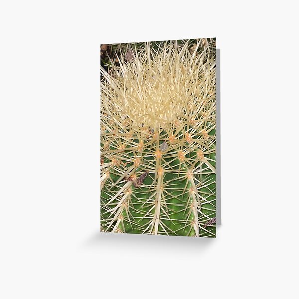 Cactus Spikes Greeting Card