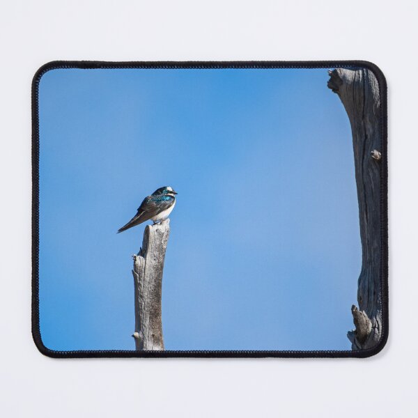 Item preview, Tree Swallow | Yellowstone National Park designed and sold by TinyDinoDesigns.