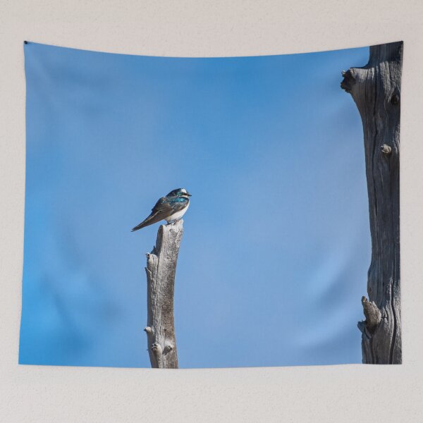 Item preview, Tree Swallow | Yellowstone National Park designed and sold by TinyDinoDesigns.