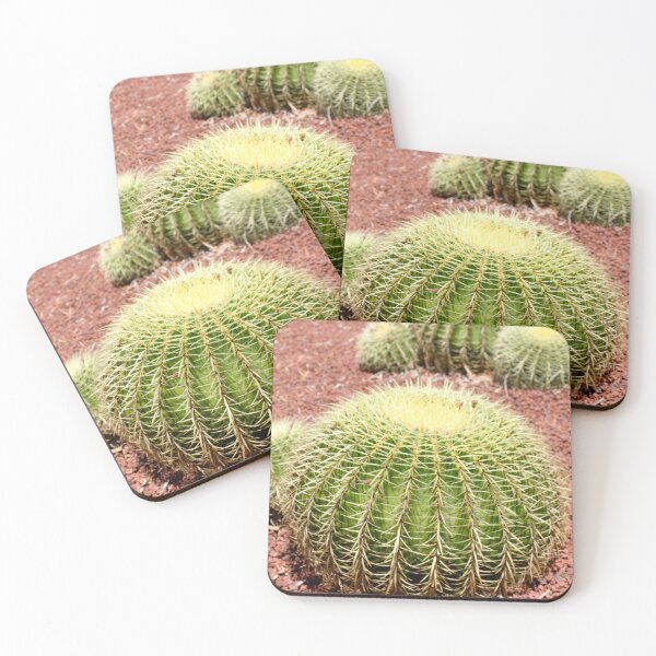 Item preview, Serenity in Succulents - Cactus Photo Art designed and sold by HFGjewels.