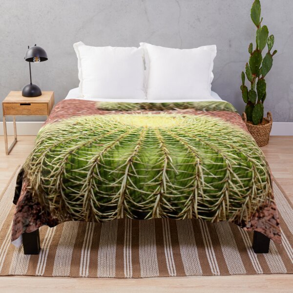 Item preview, Serenity in Succulents - Cactus Photo Art designed and sold by HFGjewels.