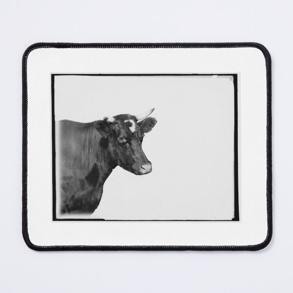 Item preview, Vintage Cow designed and sold by cow-goes-moo.