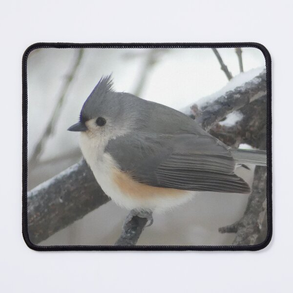 Item preview, Tufted Titmouse designed and sold by stuzle.