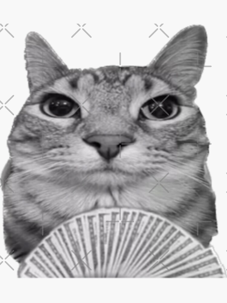 Motion Cat" Sticker for Sale by Hunter3773 | Redbubble