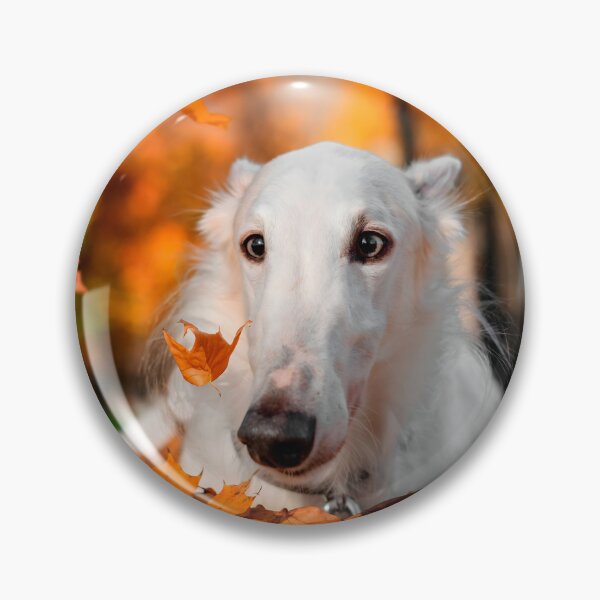 Artikelvorschau, Barsoi-Foto entworfen und verkauft von Iluvmygreyhound.