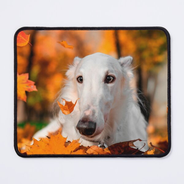 Item preview, Borzoi Photo designed and sold by Iluvmygreyhound.