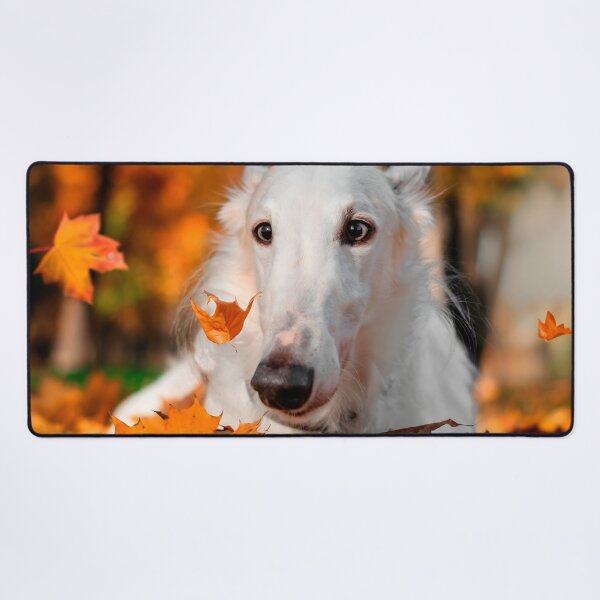 Item preview, Borzoi Photo designed and sold by Iluvmygreyhound.