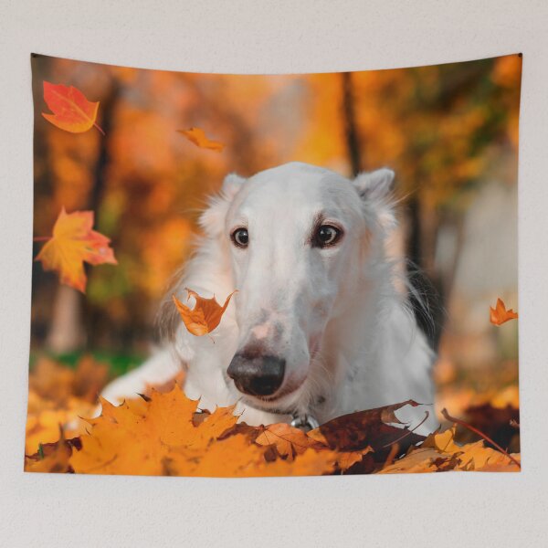Item preview, Borzoi Photo designed and sold by Iluvmygreyhound.