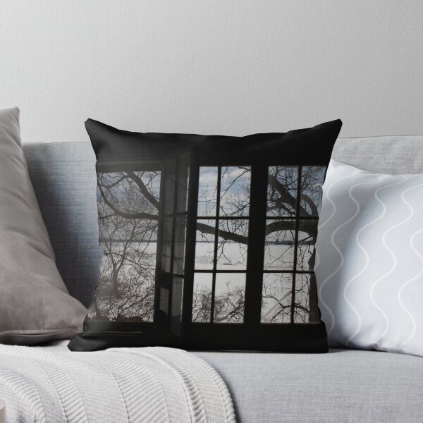 Item preview, Abandoned House Window designed and sold by ErinCrossman.