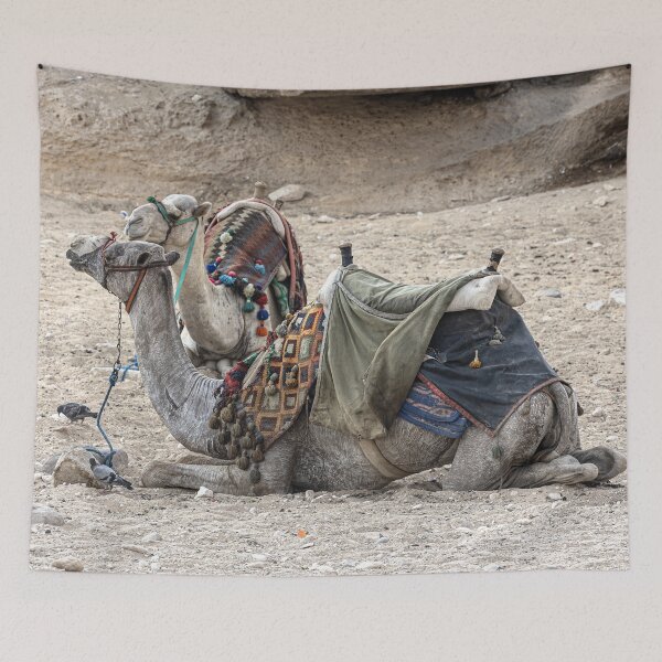 Item preview, Resting designed and sold by Marylou Badeaux.