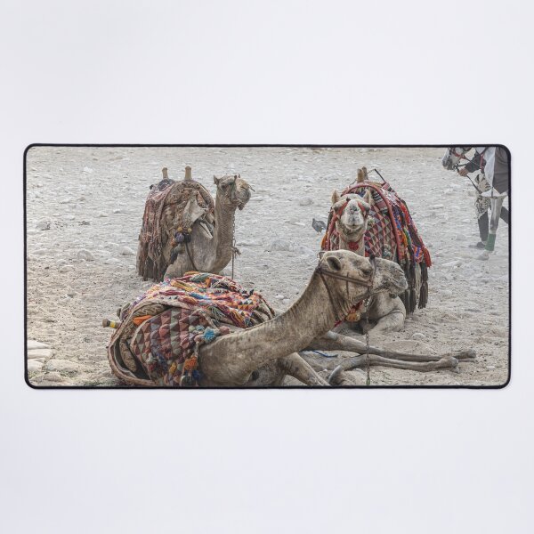 Item preview, Having a Rest designed and sold by Marylou Badeaux.