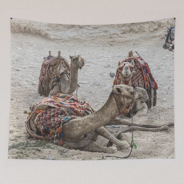Item preview, Having a Rest designed and sold by Marylou Badeaux.