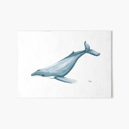 Item preview, Humpback Whale designed and sold by Jane Payne.