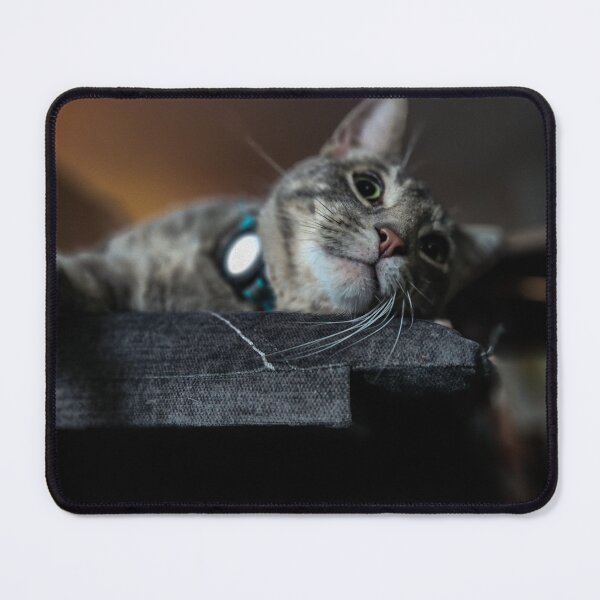 Item preview, Admiring kitty. designed and sold by Ram-studios.