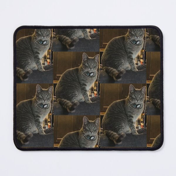Item preview, Attentive cat. designed and sold by Ram-studios.