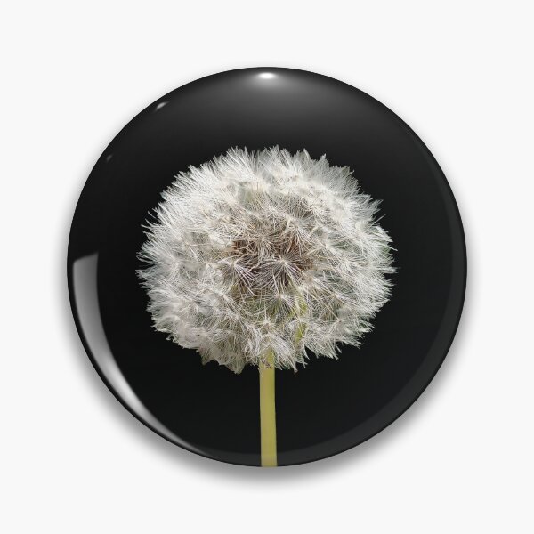 Item preview, Make a Wish by Adelaide artist Avril Thomas at Magpie Springs designed and sold by MagpieSprings.
