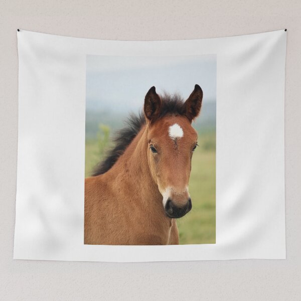 Item preview, brown foal portrait designed and sold by goceris.