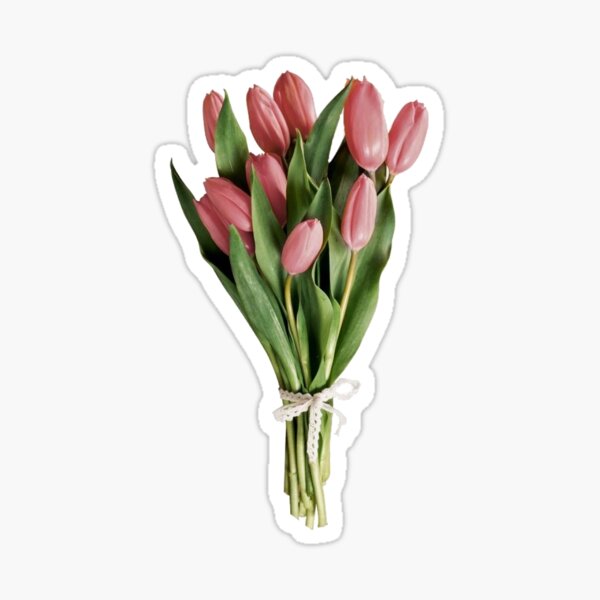 Item preview, tulips  designed and sold by charlotteluciee.