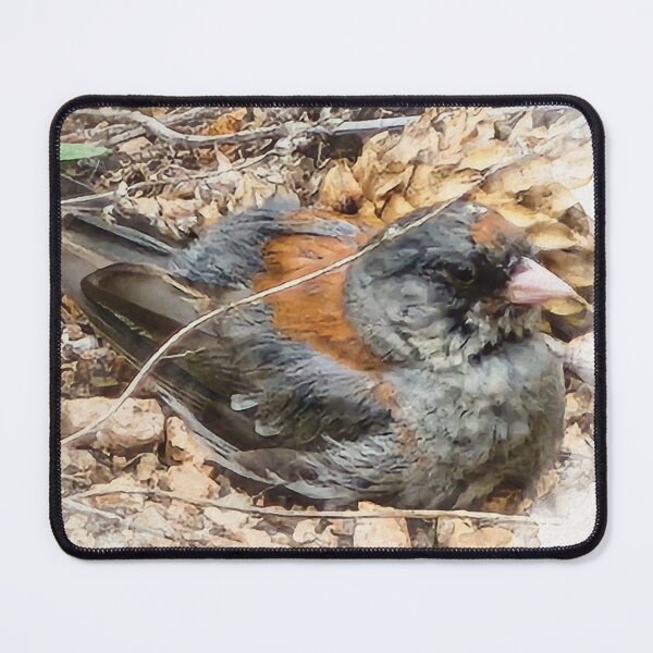 Item preview, Colorado Mountain Brush Bird designed and sold by Kingdom-Gardens.