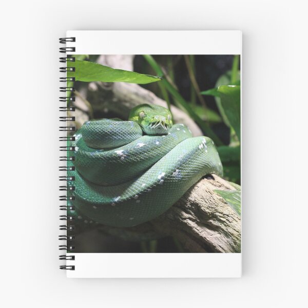 Item preview, green snake on branch in jungle designed and sold by goceris.