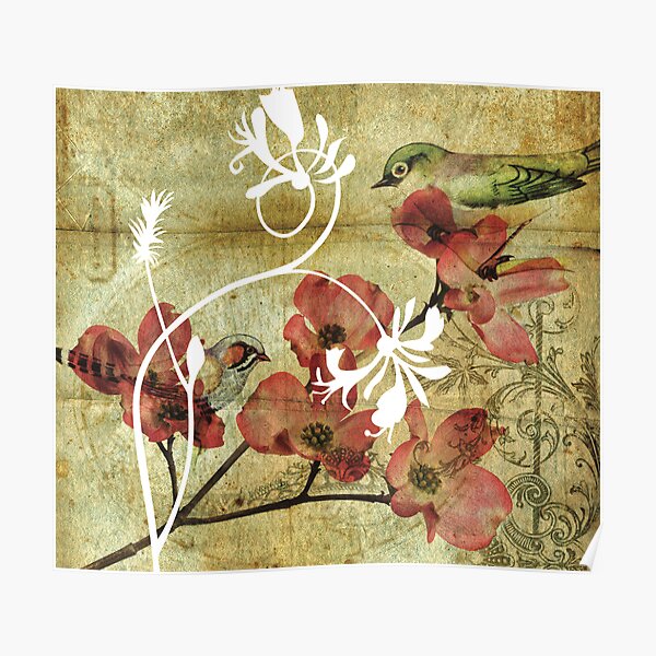 zebra finch & silver eye finch Poster