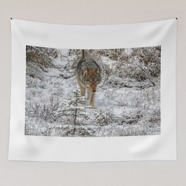 Item preview, Wolf on the move designed and sold by James (820Photography) Anderson.