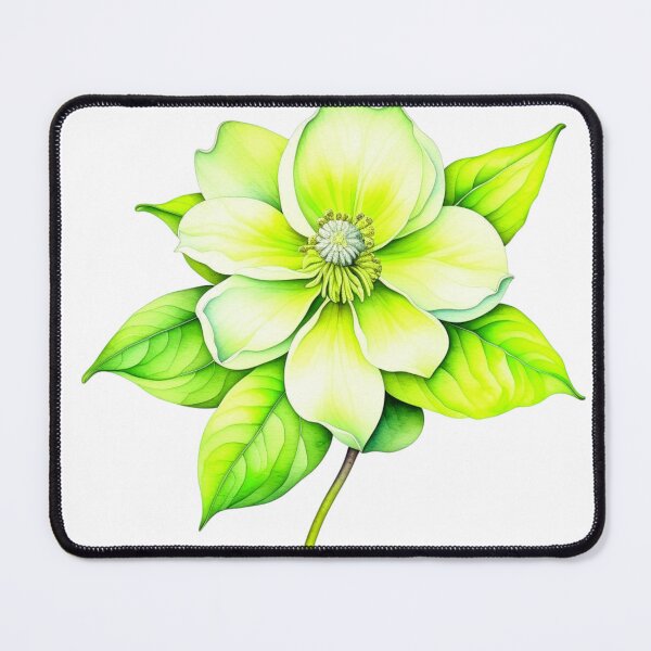 Item preview, Hellebore, Hellebore flower, Lenten rose designed and sold by nicheteees.