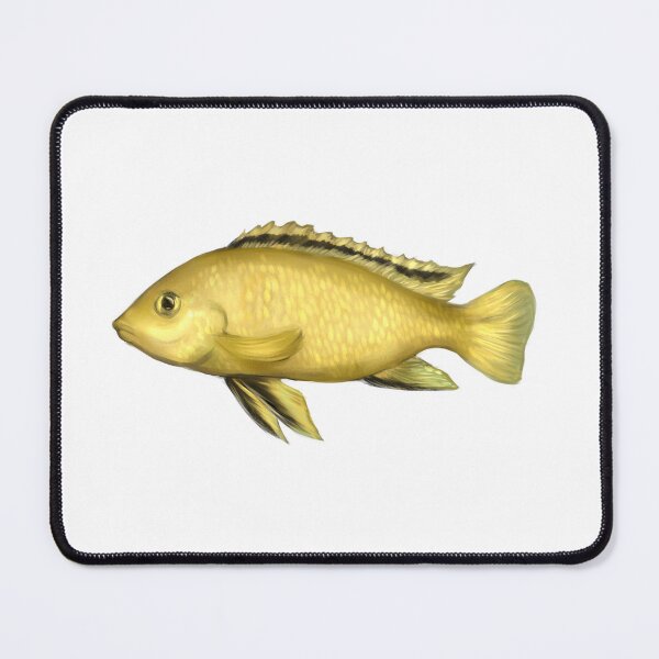 Item preview, African Cichlid Yellow Lab (Labidochromis caeruleus) designed and sold by Modsecai.