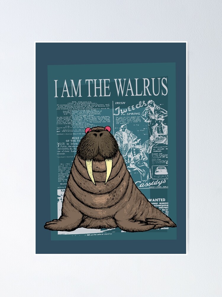 walrus pillow pet