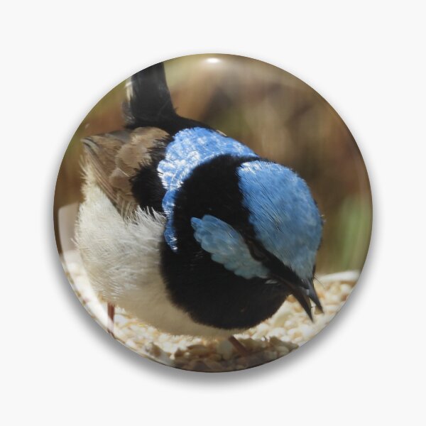 Item preview, Superb Fairywren in Norton Summit designed and sold by Claire L Page Photography.