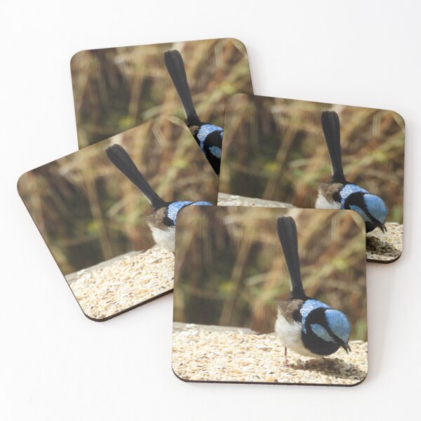 Item preview, Superb Fairywren in Norton Summit designed and sold by Claire L Page Photography.