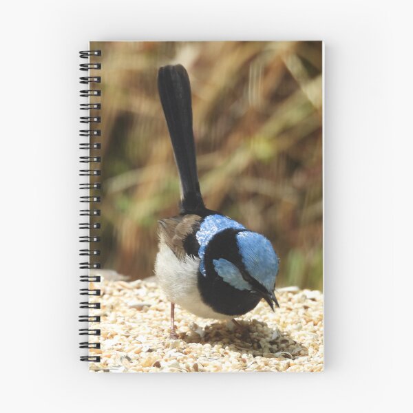 Item preview, Superb Fairywren in Norton Summit designed and sold by Claire L Page Photography.