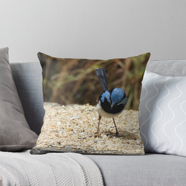 Item preview, Superb Fairywren in Norton Summit 2 designed and sold by Claire L Page Photography.